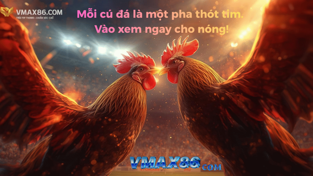 chơi đá gà SV388